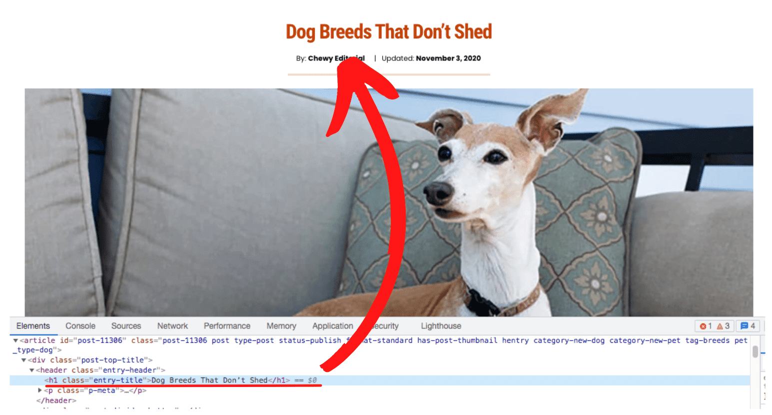 Dog breeds that dont shed h1 seen in html